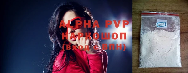 прущие грибы Аркадак