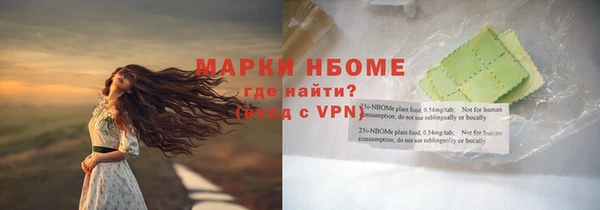 прущие грибы Аркадак