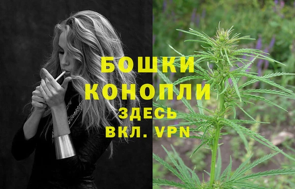 прущие грибы Аркадак