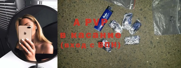 прущие грибы Аркадак